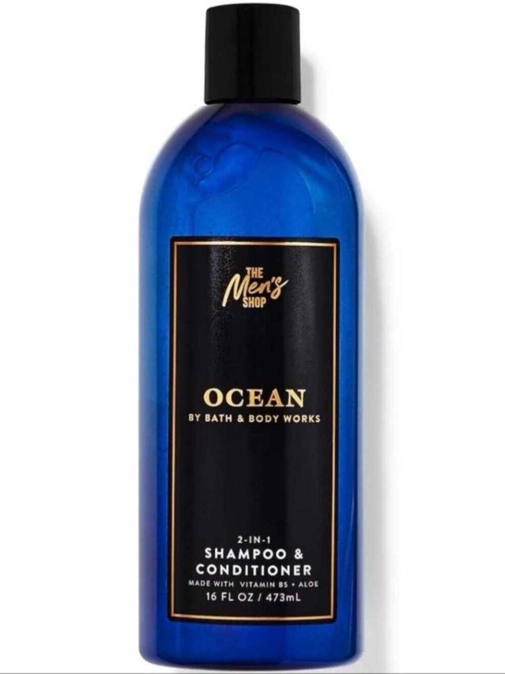 Ocean 2-n-1 Shampoo and Conditioner